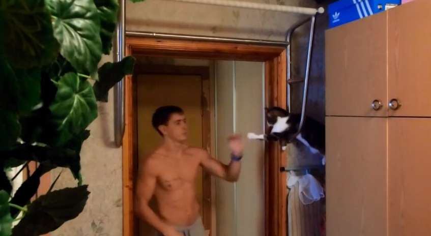 High-Fiving Cat
