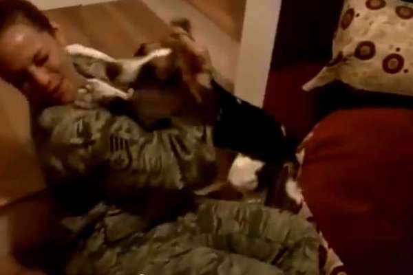 Dog Welcomes Home Her Mom