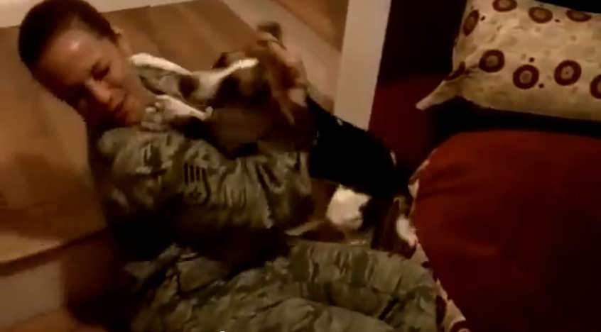 Dog Welcomes Home Her Mom