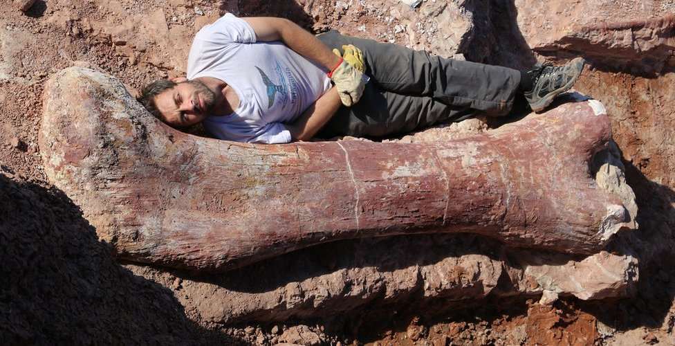 biggest dinosaur ever bbc1