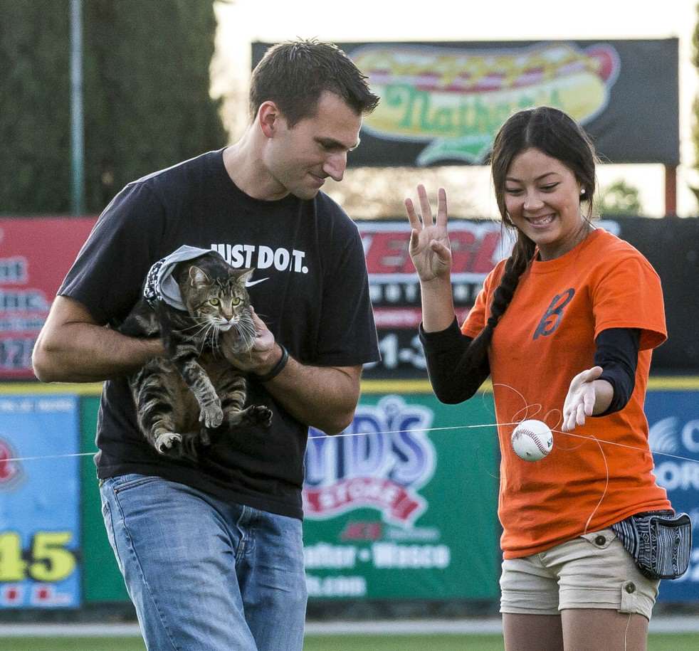 tara cat game