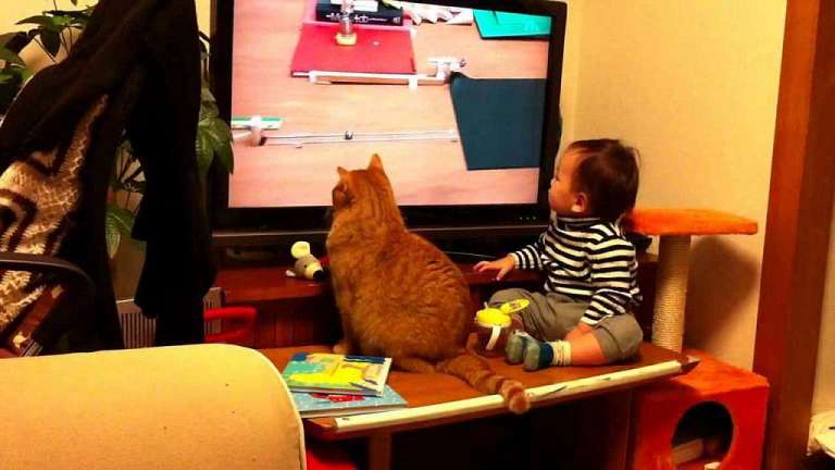 baby-and-a-cat-watching-tv