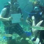 underwater marriage proposal111