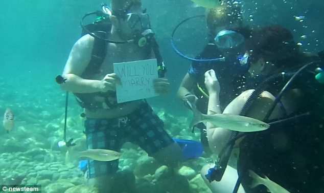 underwater marriage proposal111