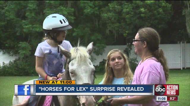Horses_for_Lex__7_year_old_girl_with_cer_1910880000_7379782_ver1.0_640_480