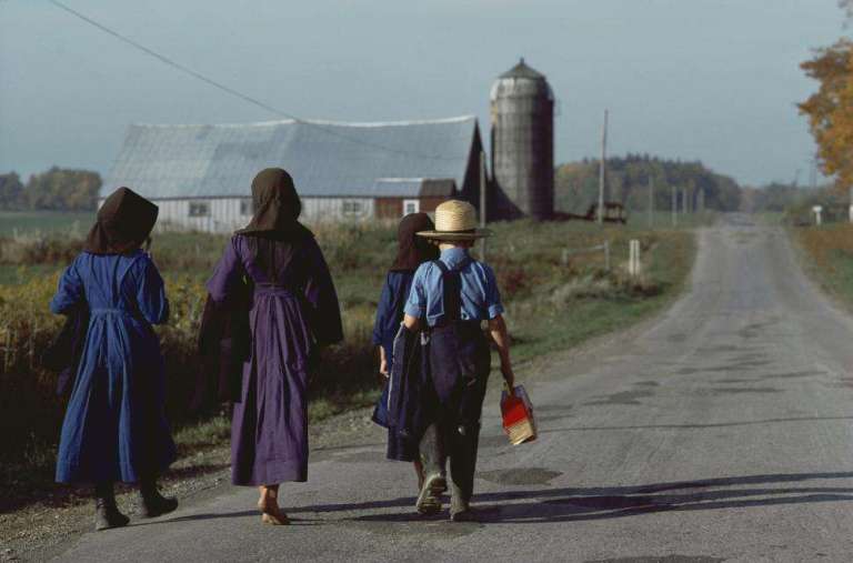 amish kids
