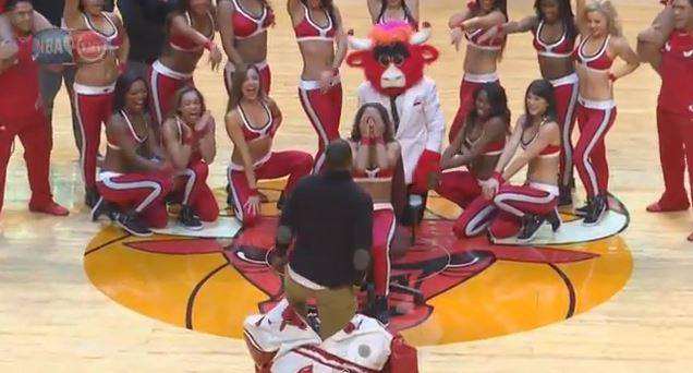 bulls-dancer-proposal