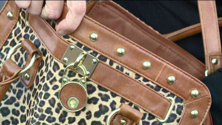 purse-back-from-thieves