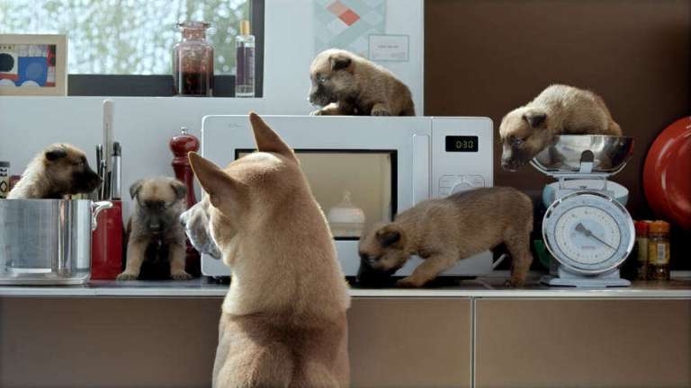 dog parents