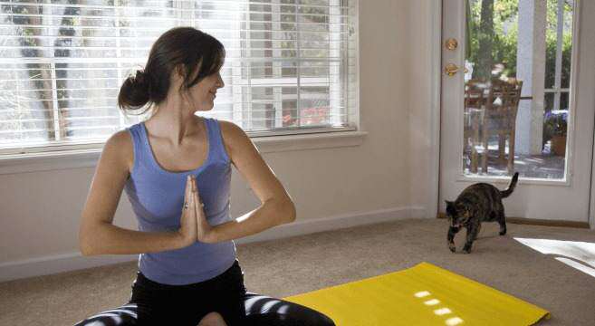 pets yoga