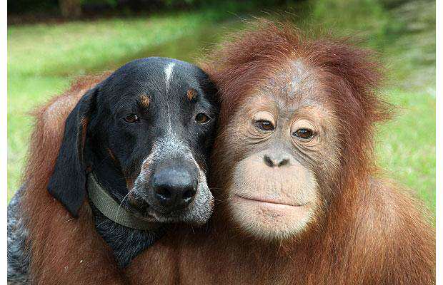 freinds furever1