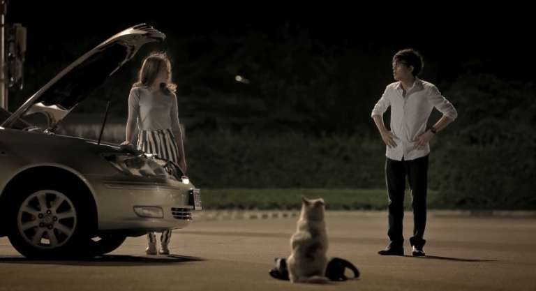 dog repays kindness2a