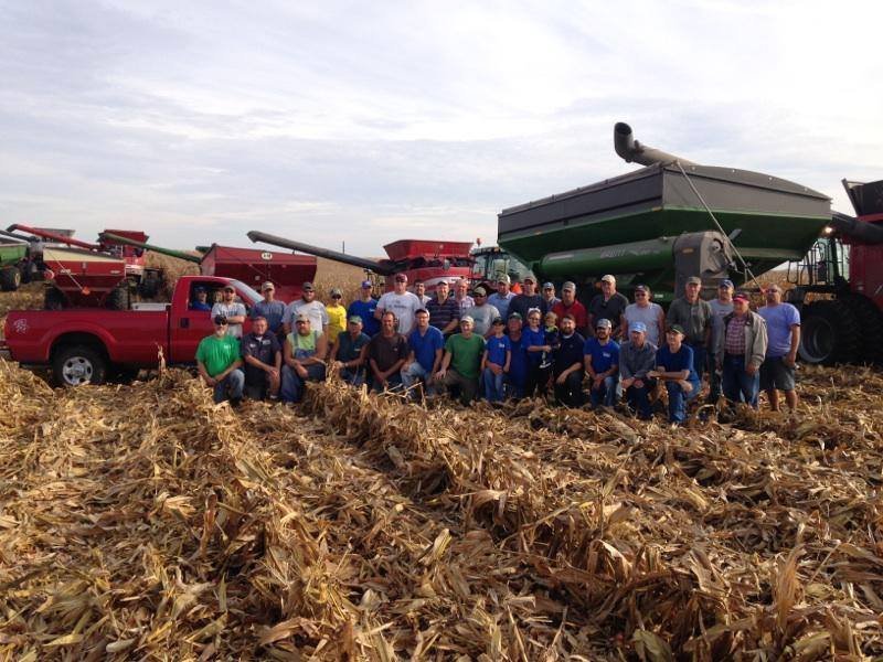 Amazing Harvest