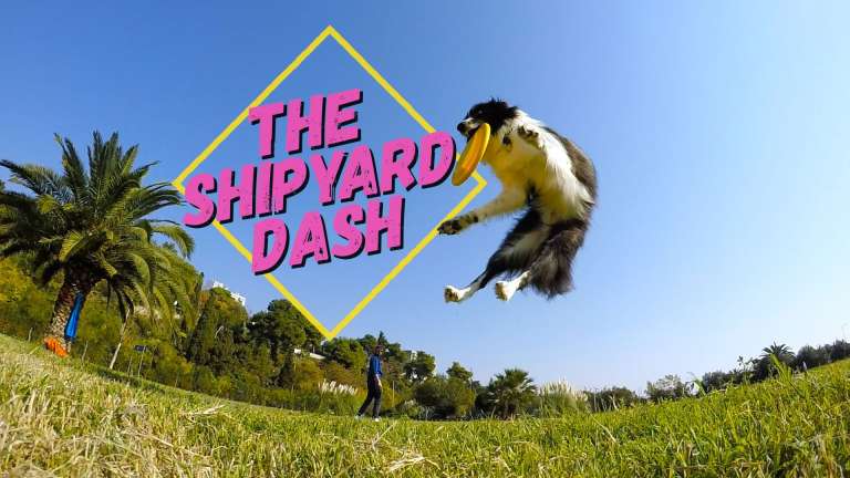 shipyard dash