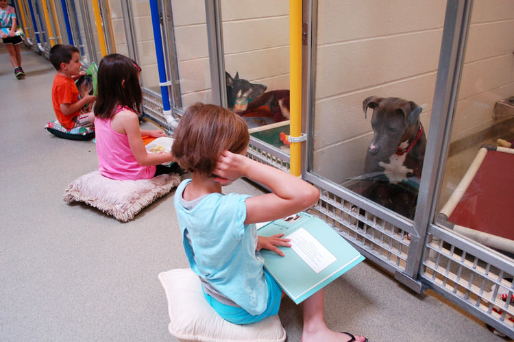 kids-read-shelter-dogs-human-society-of-missouri-2