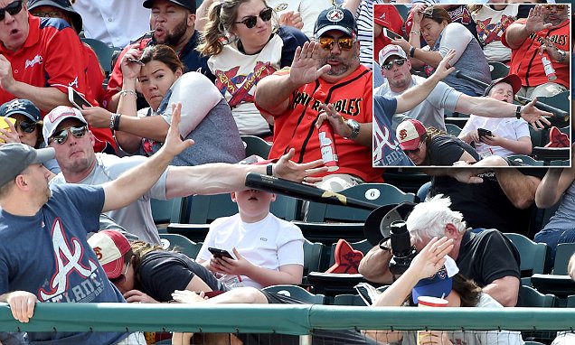 fan saves boy from flying bat