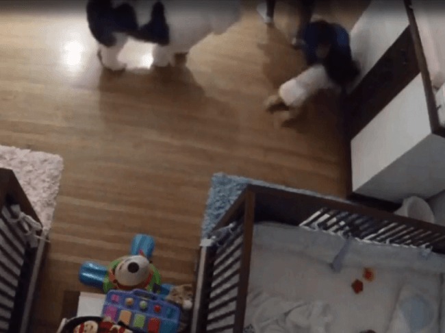 florida-boy-catches-baby-brother