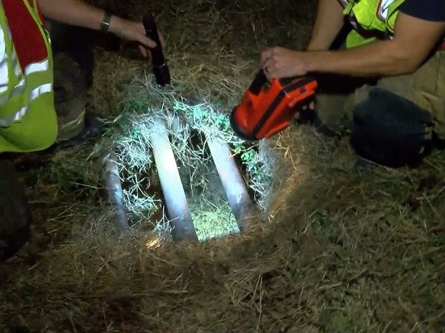 infant-found-in-storm-drain