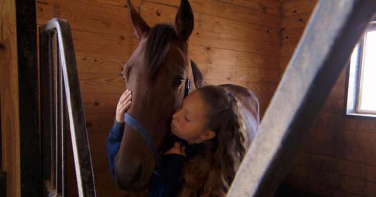 pet horse becomes racing champion