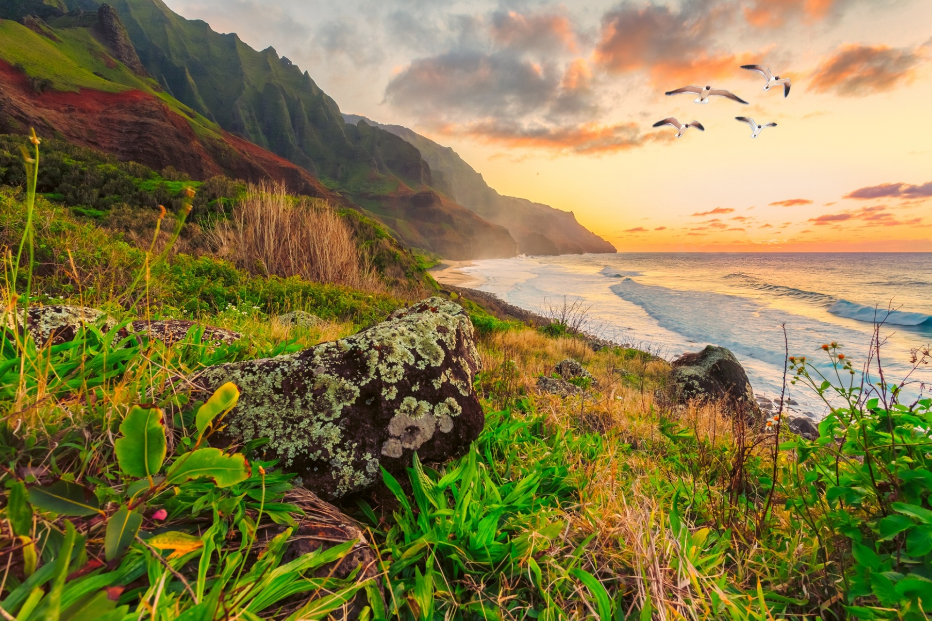 ocean and coast