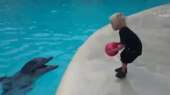 dolphin playing ball with child