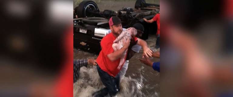 samaritans rescue infant
