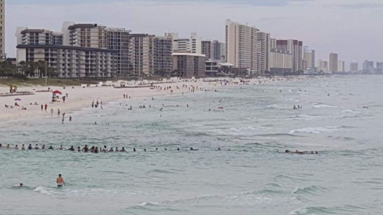 beach goers form human chain to save swimmers