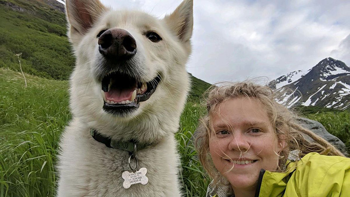 husky rescued hiker