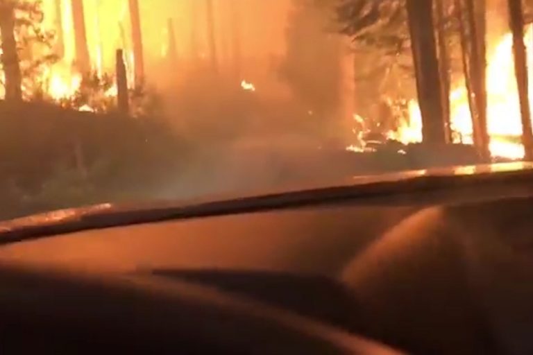 escape forest fire