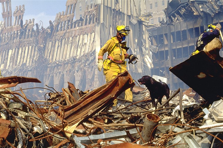 hero dogs of 911