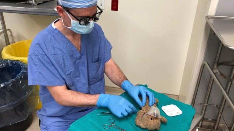 teddy-bear-surgery-20181002