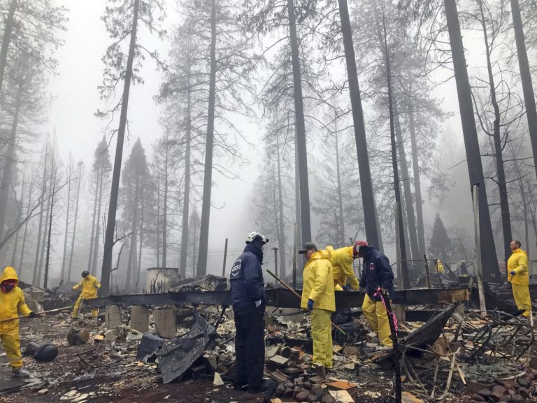 cleanup from fire