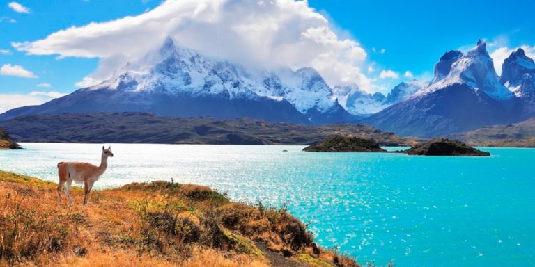 chile 1