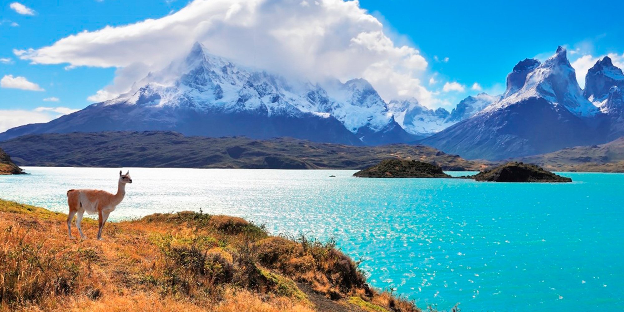 chile 1