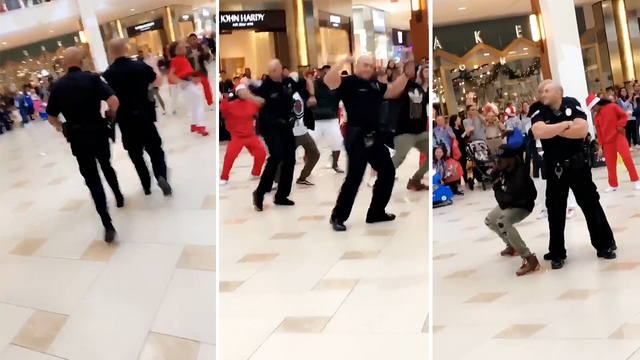 florida police flash mob