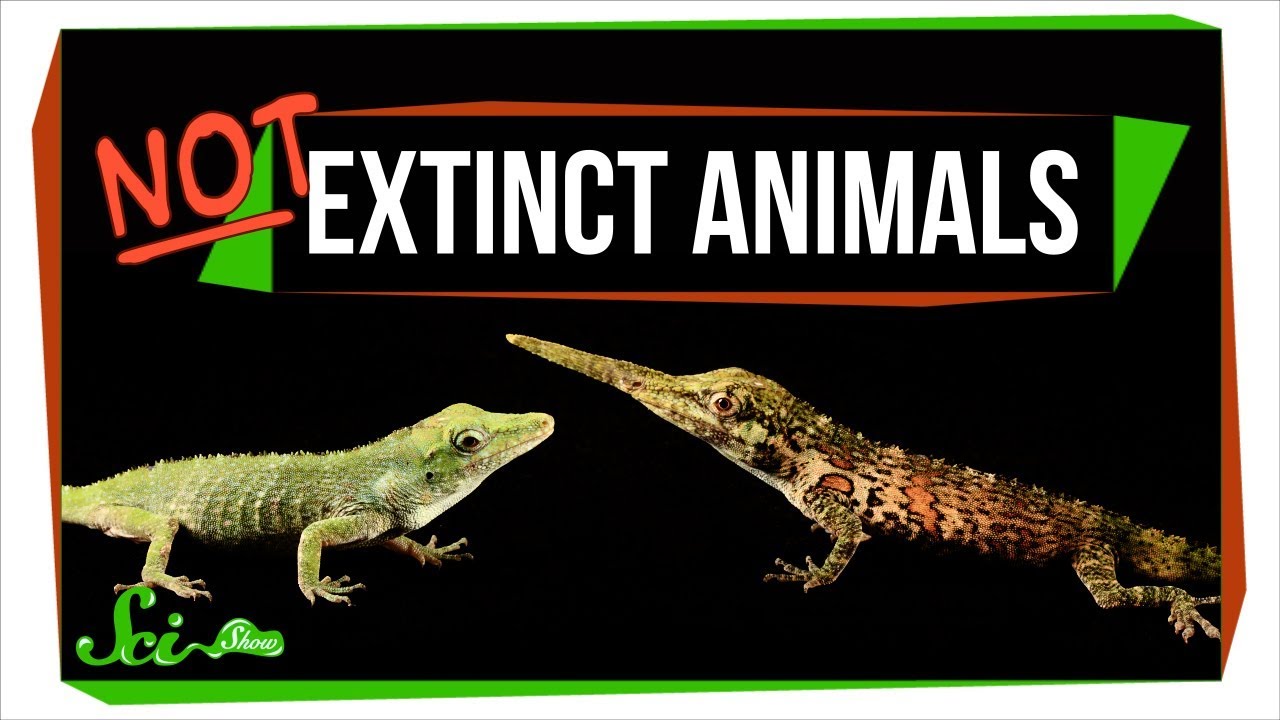 not extinct animals