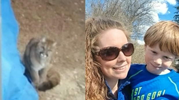 mom saves son from cougar