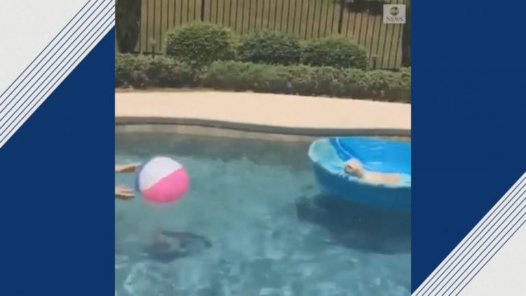 dog plays volleyball with owner