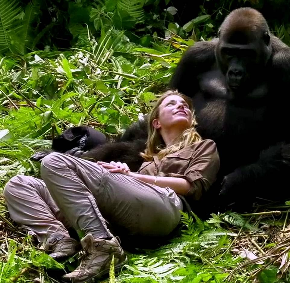 woman accepted by wild gorillas