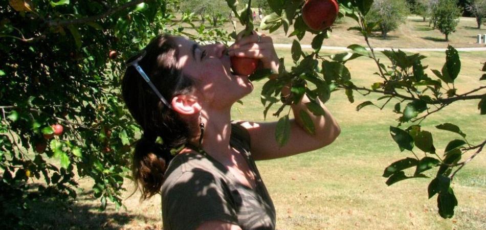 atlanta free food forest