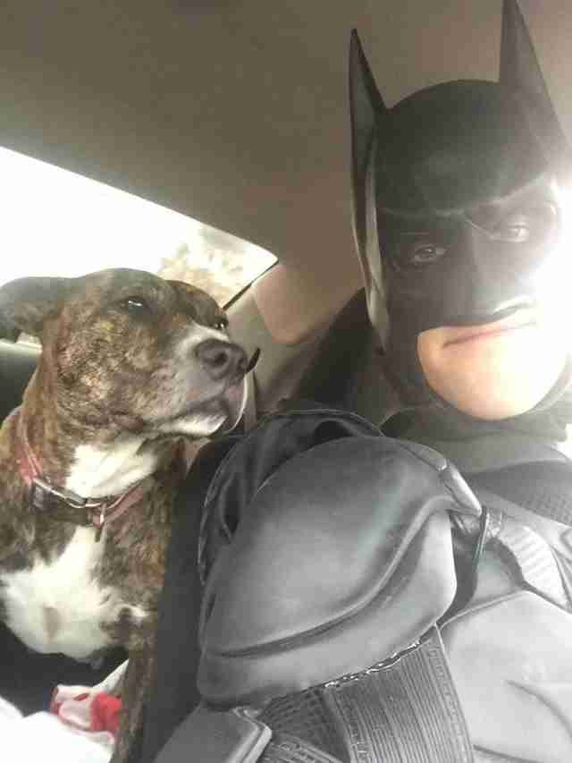 batman rescues dogs
