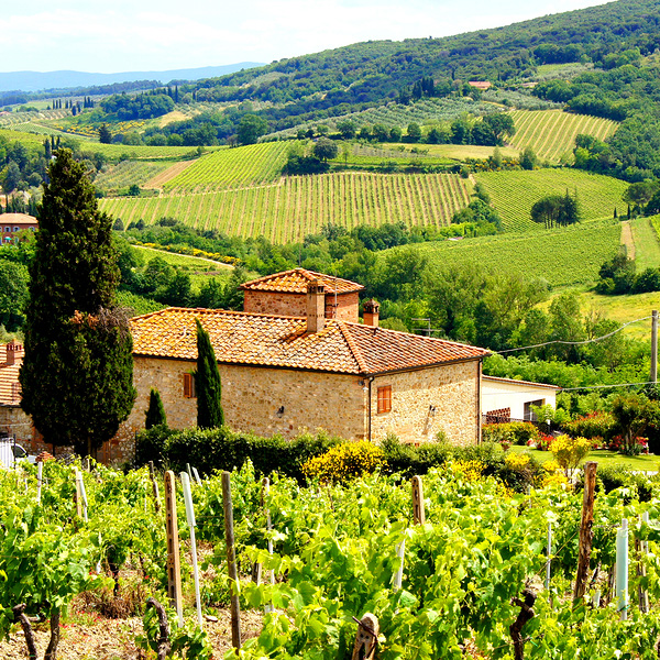 Classic Tuscan landscape