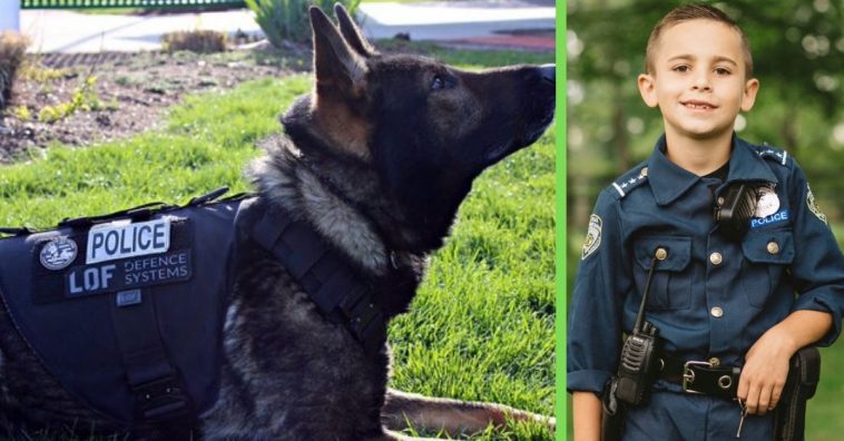 nine year old boy raises money for bullet proof vests for dogs