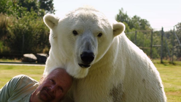polar bear cuddles human
