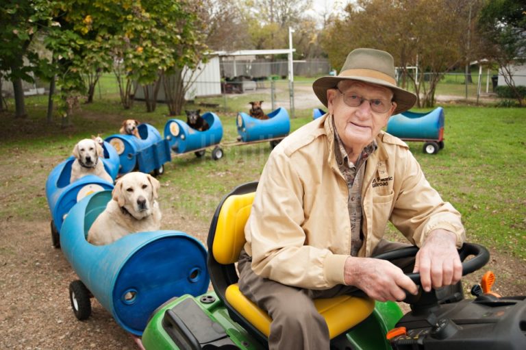 All Aboard the Doggy Train