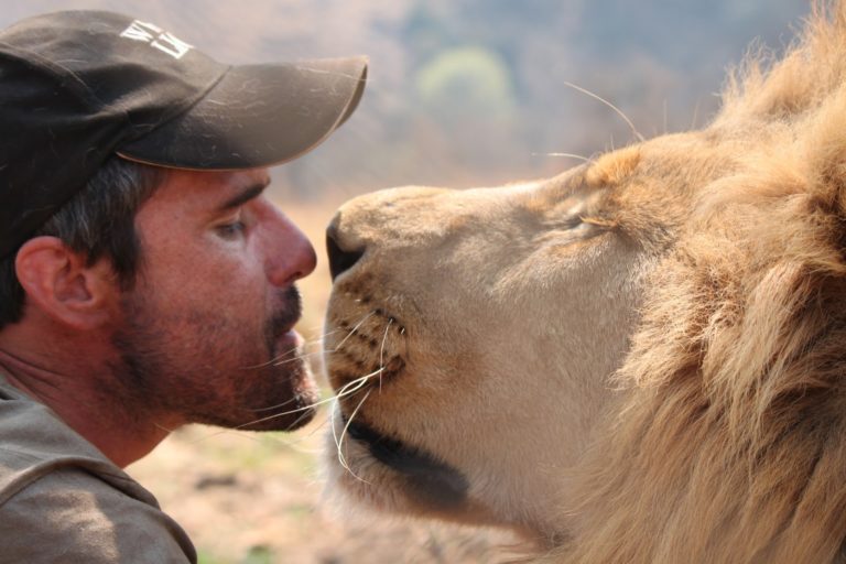 lion-whisperer