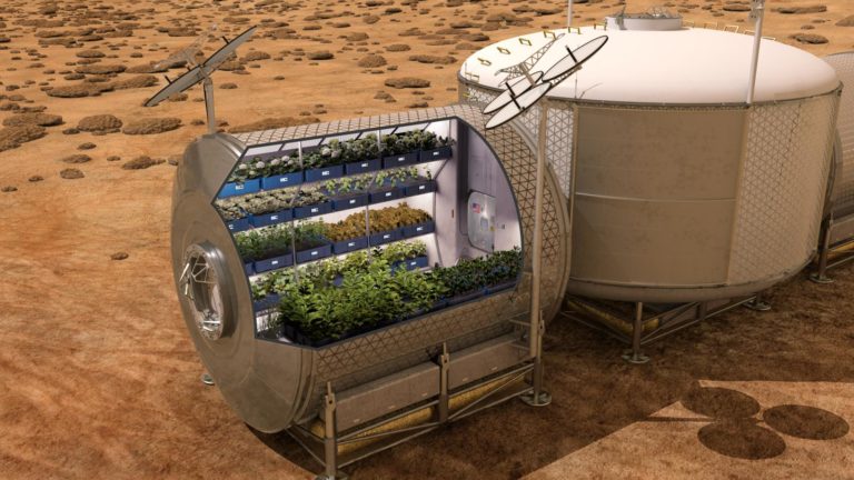 scientists-grow-plants-in-space-2