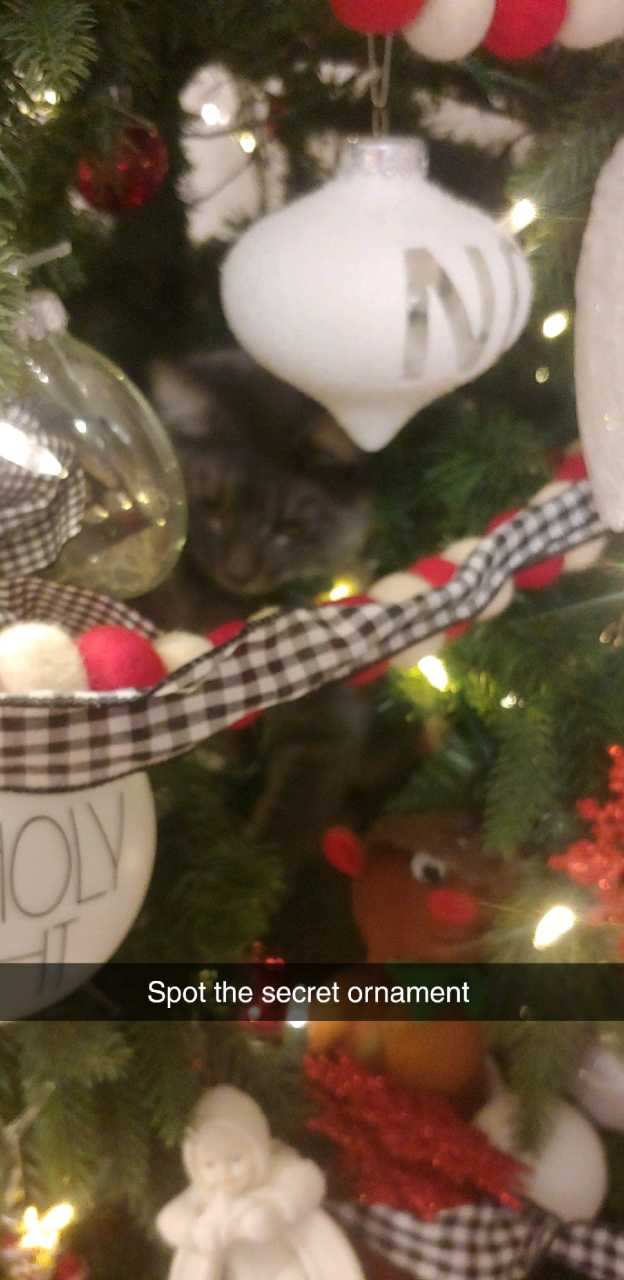 Secret-christmas-ornament