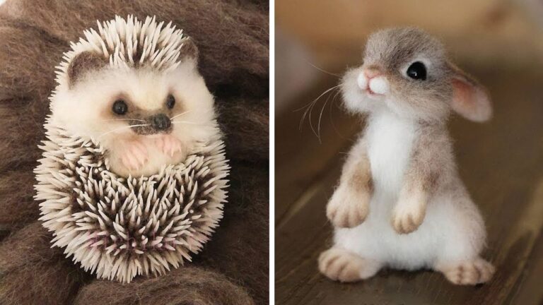 cutest-baby-animals