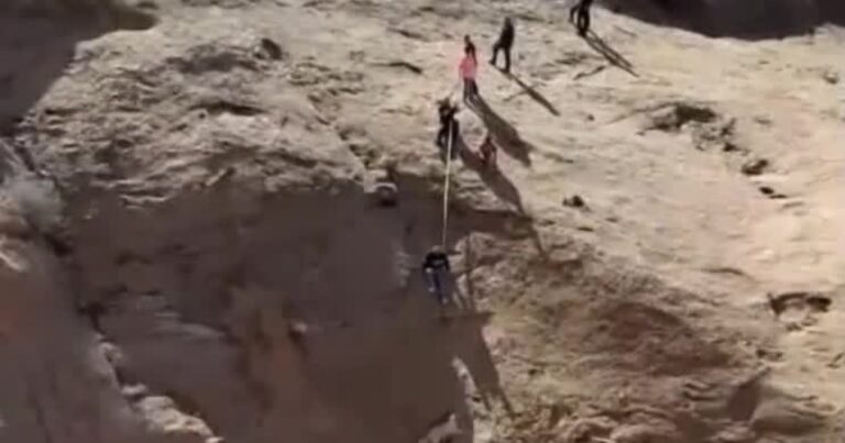 group-rescues-dog-in-moab